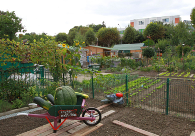 Jardins familiaux de Créteil