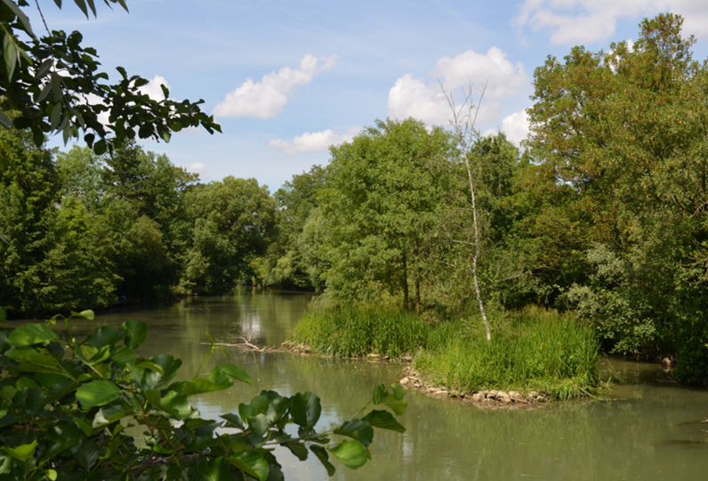 îles des bords de Marne à Créteil