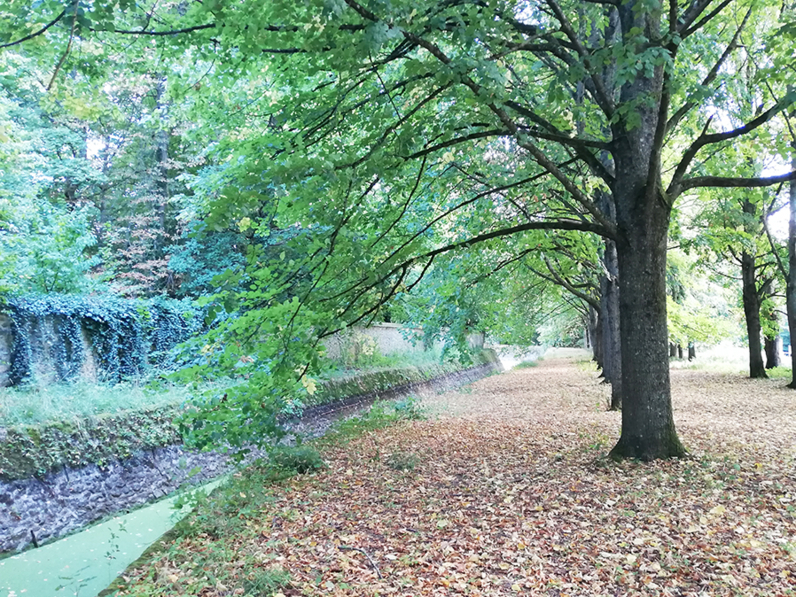 Parc départemental des Marmousets