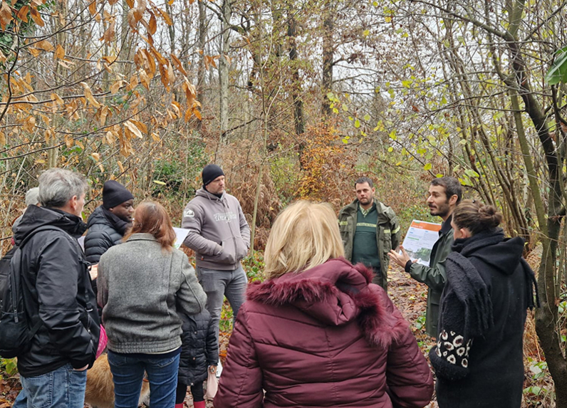 Atelier lisière de forêt à Villecresnes, novembre 2025