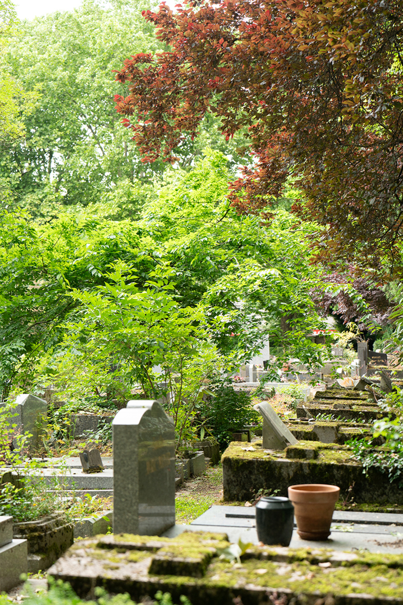 Visite Rendez-vous aux Jardins Juin 2025, cimetière parisien d'Ivry-sur-Seine