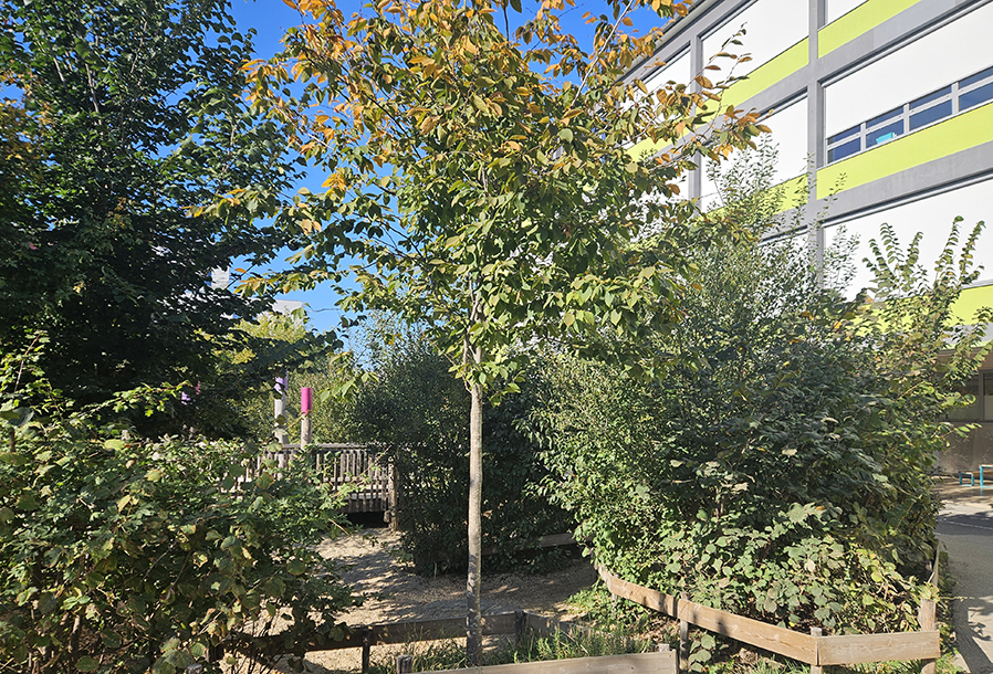 Une Cour Oasis accompagnée par le CAUE 94 à Choisy-le-Roi