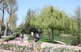 Parcours à vélo le long de la Marne, à Saint-Maur-des-Fossés