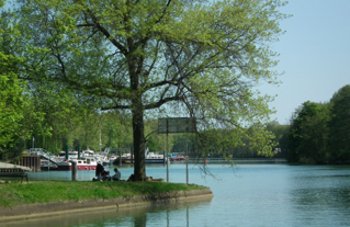 Les îles de la Marne