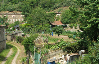 Jardins ouvriers du Fort d'Ivry-sur-Seine