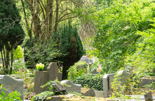 Cimetière parisien d'Ivry-sur-Seine