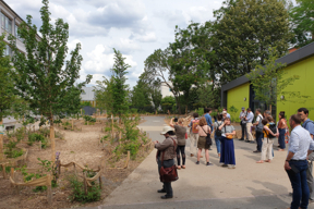 Visite des cours OASIS de Choisy-le-Roi, 21 juin 2023