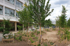 Visite des cours OASIS de Choisy-le-Roi, 21 juin 2023