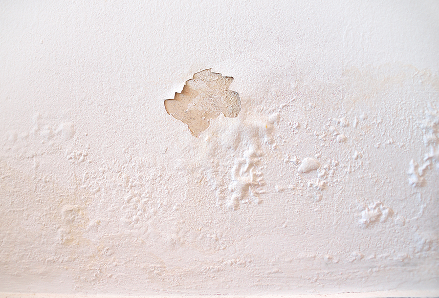 Humidité dans le logement