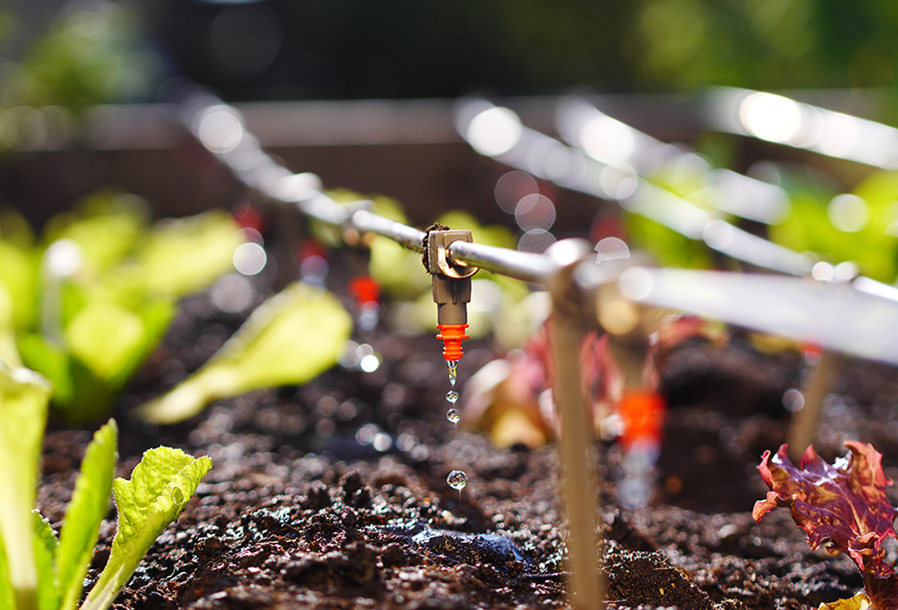 Economiser l'eau dans son jardin